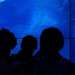 Google Earth Gets AI Chatbot to Help Map Climate Crisis